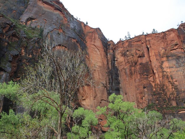 Scenic Drive
